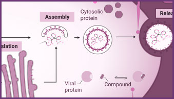 rna-right