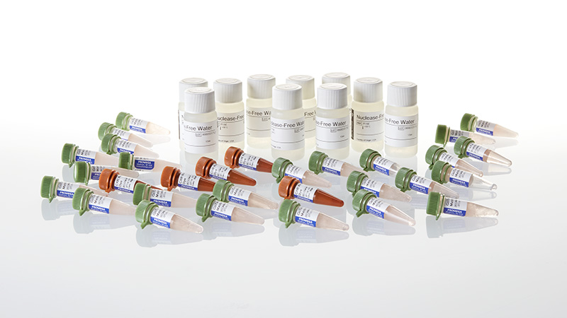 A6002-gotaq-qpcr-master-mix