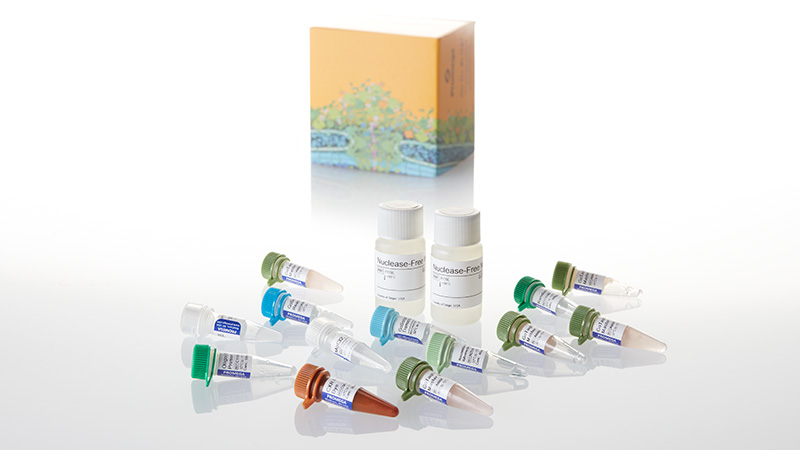 A6010-gotaq-2-step-rt-qpcr-system