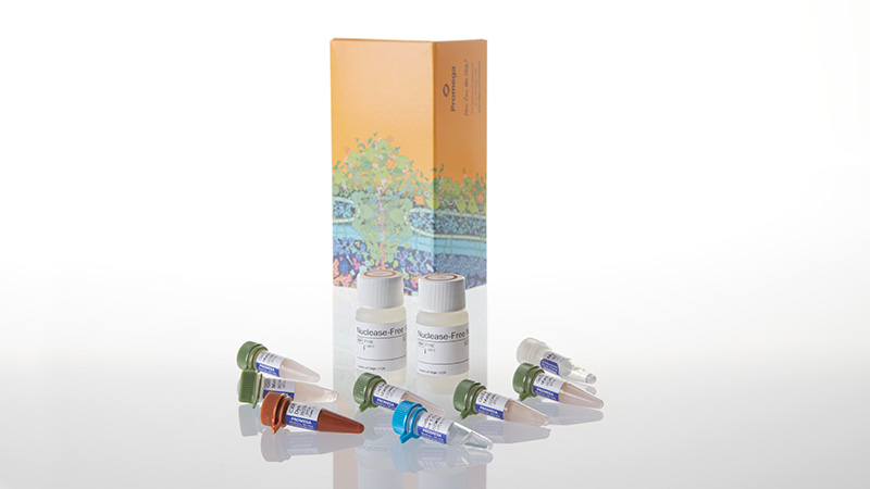A6020-gotaq-1-step-rt-qpcr-system