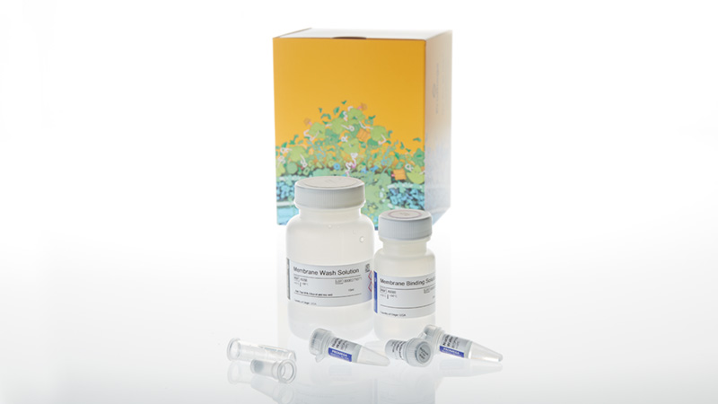 Wizard SV Gel and PCR Clean Up System 50 preps