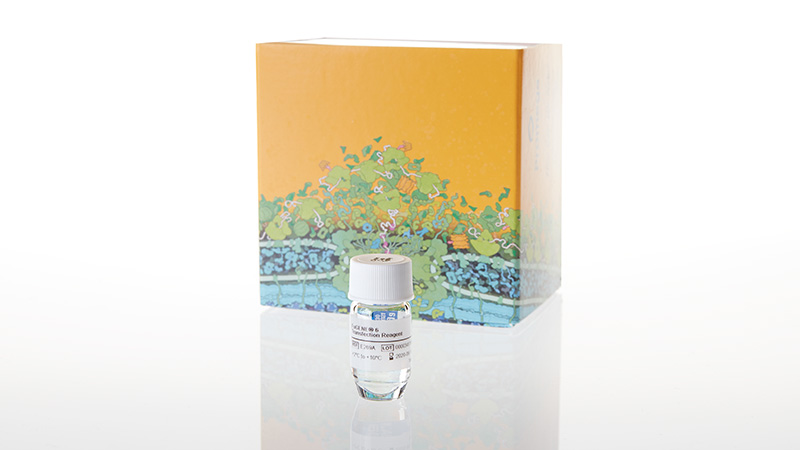 FuGENE 6 Transfection Reagent 1ml