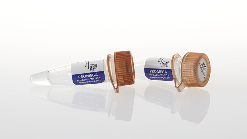 E4882_Transfection-Carrier-DNA--2-x-100ug_3