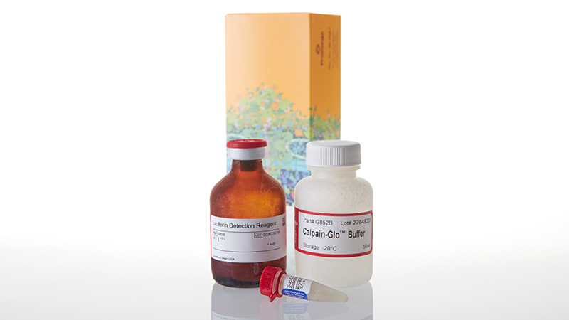 G8502_Calpain-Glo--Protease-Assay-50ml_3