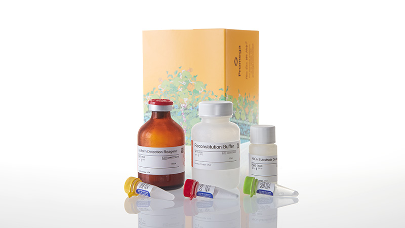 G8821-ROS-Glo-H2O2-Assay-50ml