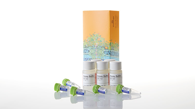 G9261_CytoTox-Fluor--Cytotoxicity-Assay--5x10_3