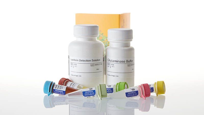 J8022_Glutamine-Glutamate-Glo