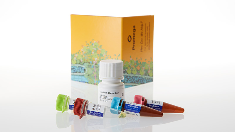 j9010-dehydrogenase-glo-detection-system-5-ml