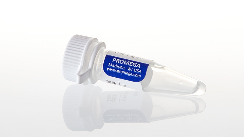 JA1020_Control-Ab--Anti-CTLA-4