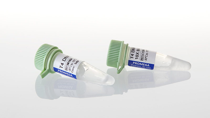 M1801_T4-DNA-Ligase--100u_3