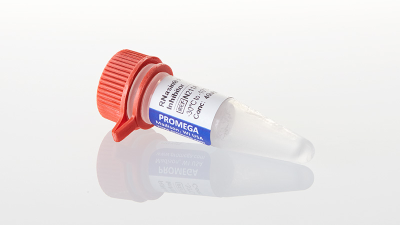 N2111_RNasin-RNase-Inhibitor--2-500u_3
