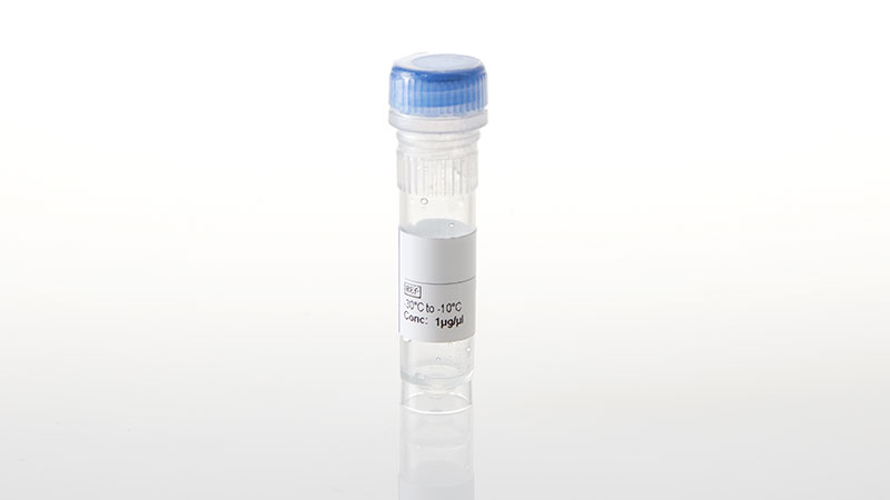 NV3301_JAK2-V617F--NanoLuc-