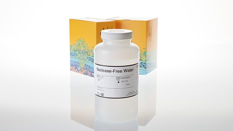 Nuclease-Free Water 500ml