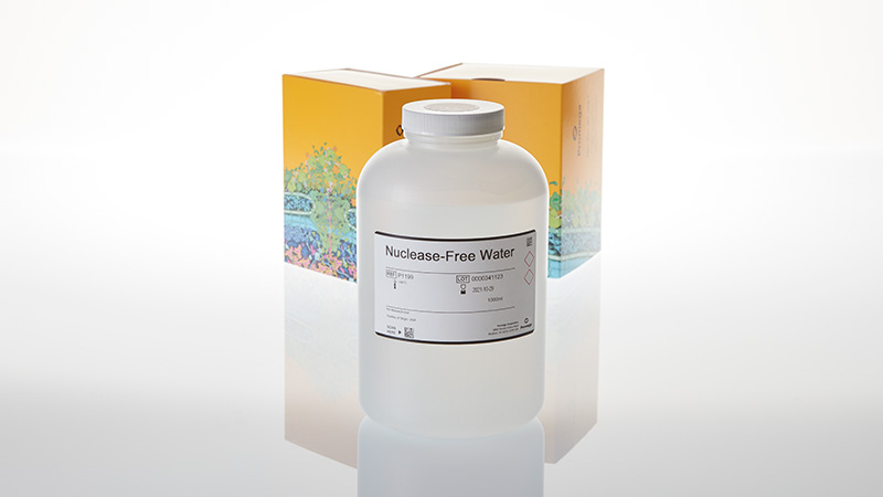 Nuclease-Free