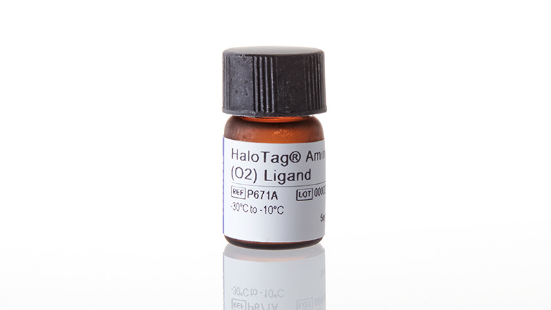 P6711_HaloTag--Amine--O2--Ligand_3