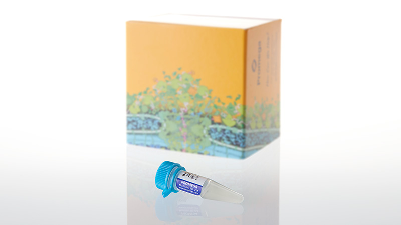 P9801_Bacterial