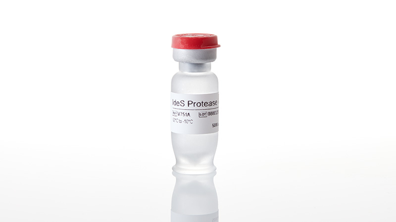 V7511_IdeS-Protease--5000U_3