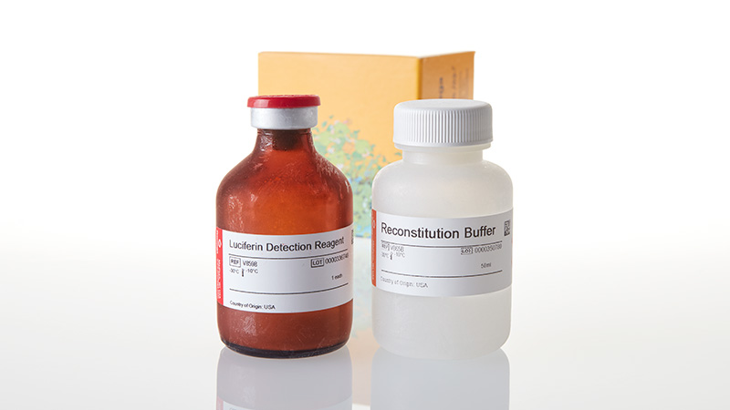V8921_Luciferin-Detection-Reagent--50ml_3