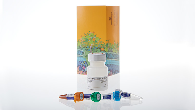 W6011_Lumit-Human-IL-1beta-Immunoassay_3