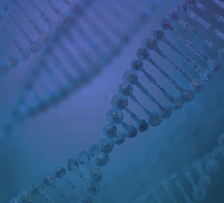 Scale up of DNA and RNA purification on liquid handlers