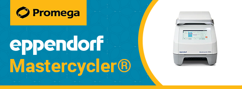 mastercyctler-wptb-ws2023-na