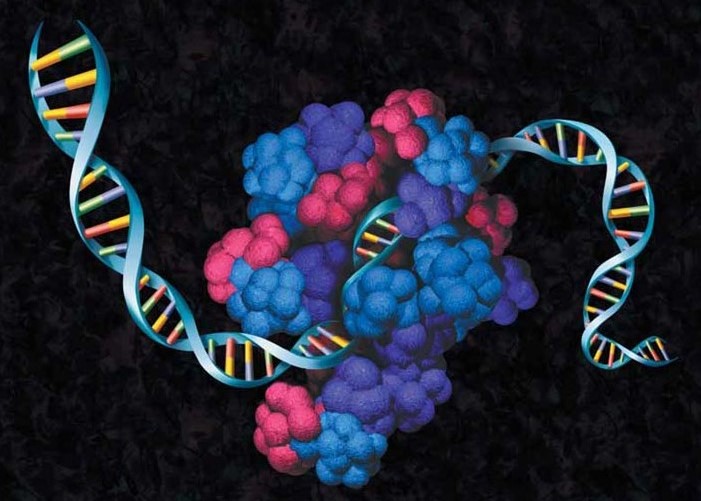 in vitro protein expression illustration