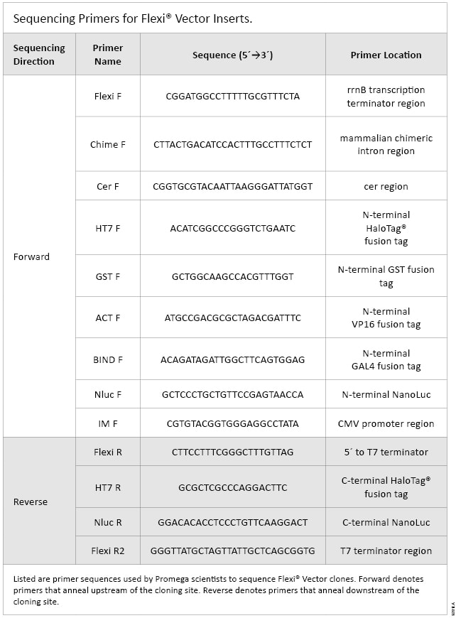 Sequencing Primers for Flexi® Vector Inserts.